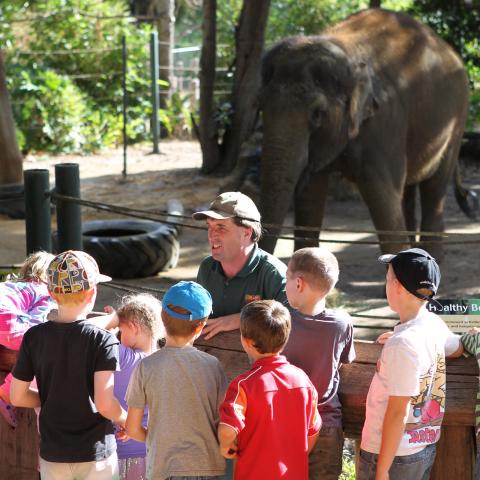 perth zoo kids party